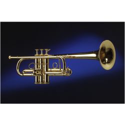 C-trumpetti Hub Van Laar C1, hopeoitu
