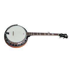 Banjo VGS Premium 5-string with case
