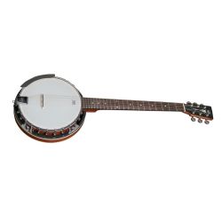Guitar banjo VGS Select with case