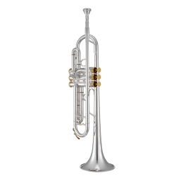 Bb Trumpetti XO Professional ML-poraus