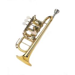 Piccolo Trumpet Johannes Scherzer goldbrass