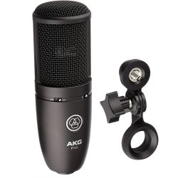 Microphone AKG P120