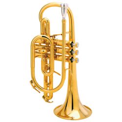 Cornet Exhange Payment from YCR4330 to B&S 