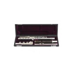 Flutecase with 2 headjoint c or B foot with case cover