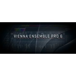 Vienna Ensemble PRO 6 - Digital Delivery