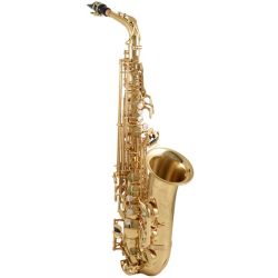 Alto Saxophone Yanagisawa WO1 Professional