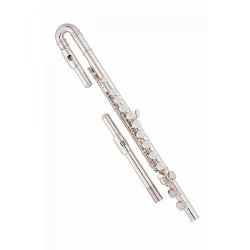 Flute 700UE with Curved and straight head