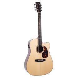 Electro-acoustic guitar, Recording King G6 Series RD-G6-CFE5