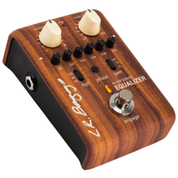 L.R. Baggs Align Series Equalizer for acoustic guitars