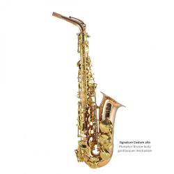 Alto saxophone TJ Siganture Bronze body