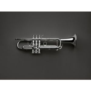 Trumpetti Hub Van Laar B6, lakkaamaton
