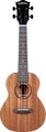 Sopraanoukulele, Cascha Mahonkia kokopuinen