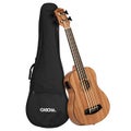 Bassoukulele Cascha Mahonkinen mikrofonilla ja pussilla
