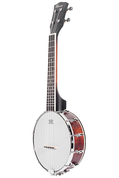 Banjolele Ohana, concert