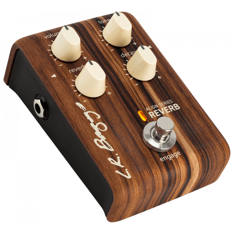 Reverb L.R.Baggs Align Series akustiselle kitaralle